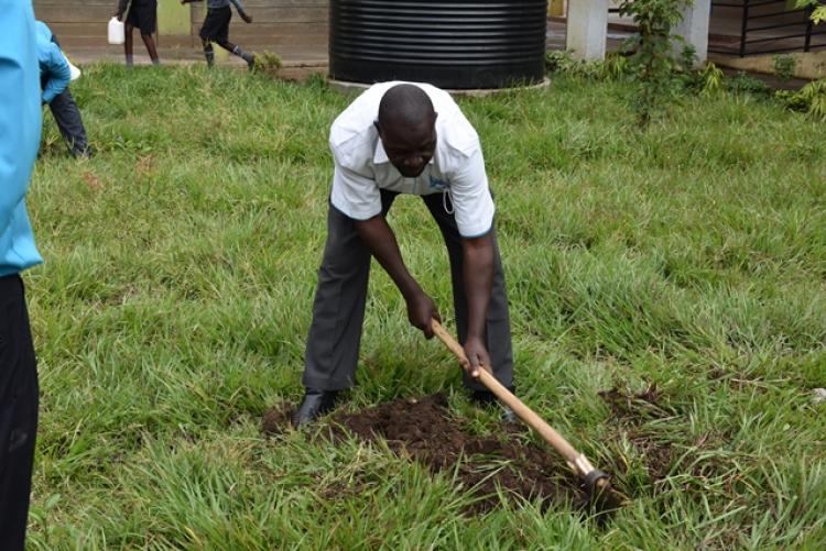 Annual Tree Planting Day