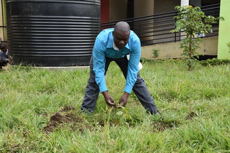 Annual Tree Planting Day