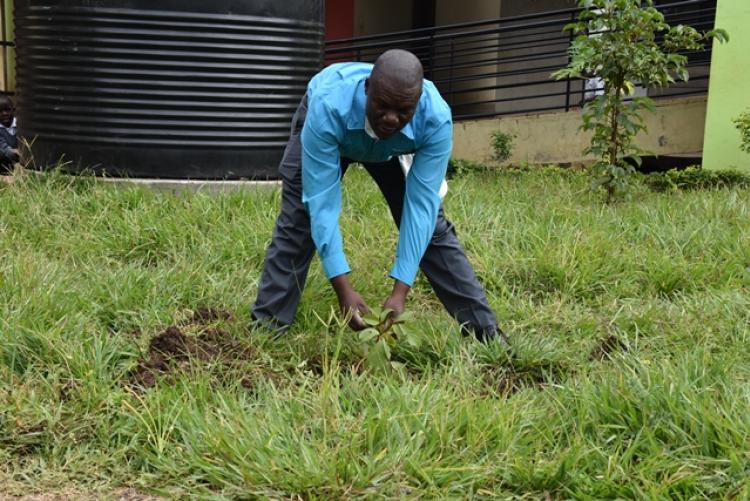 Annual Tree Planting Day