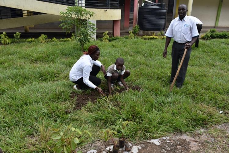 Annual Tree Planting Day